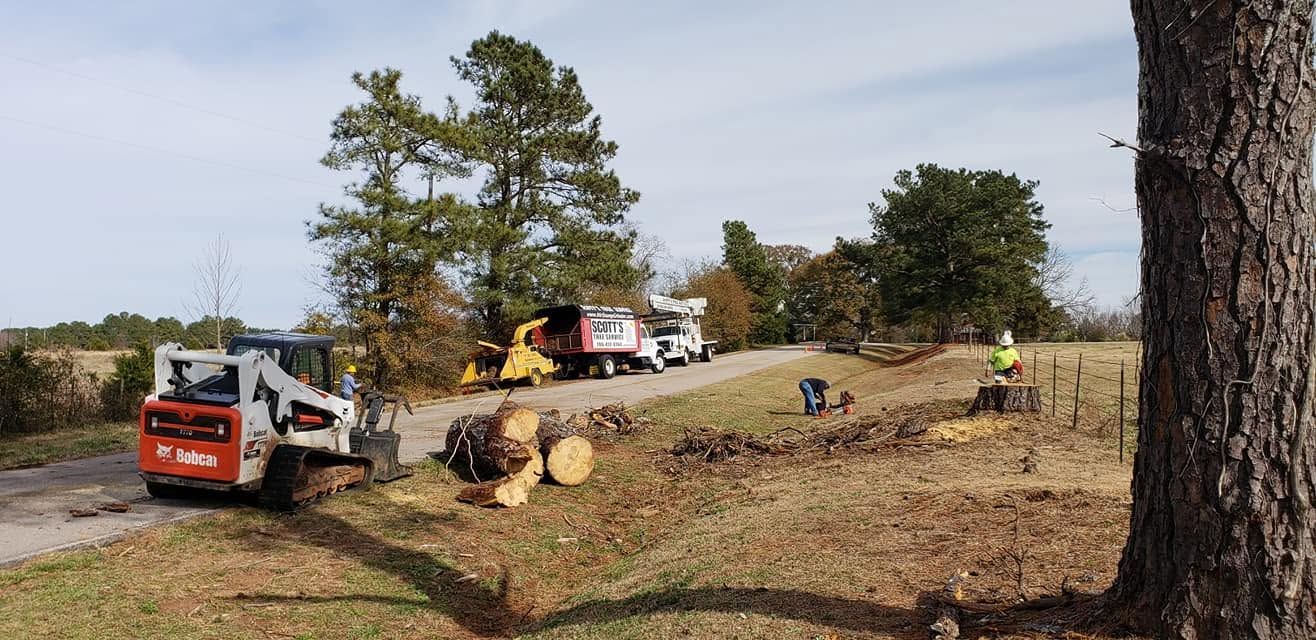 Workers and machinery clearing fallen trees beside a rural road after storm damage