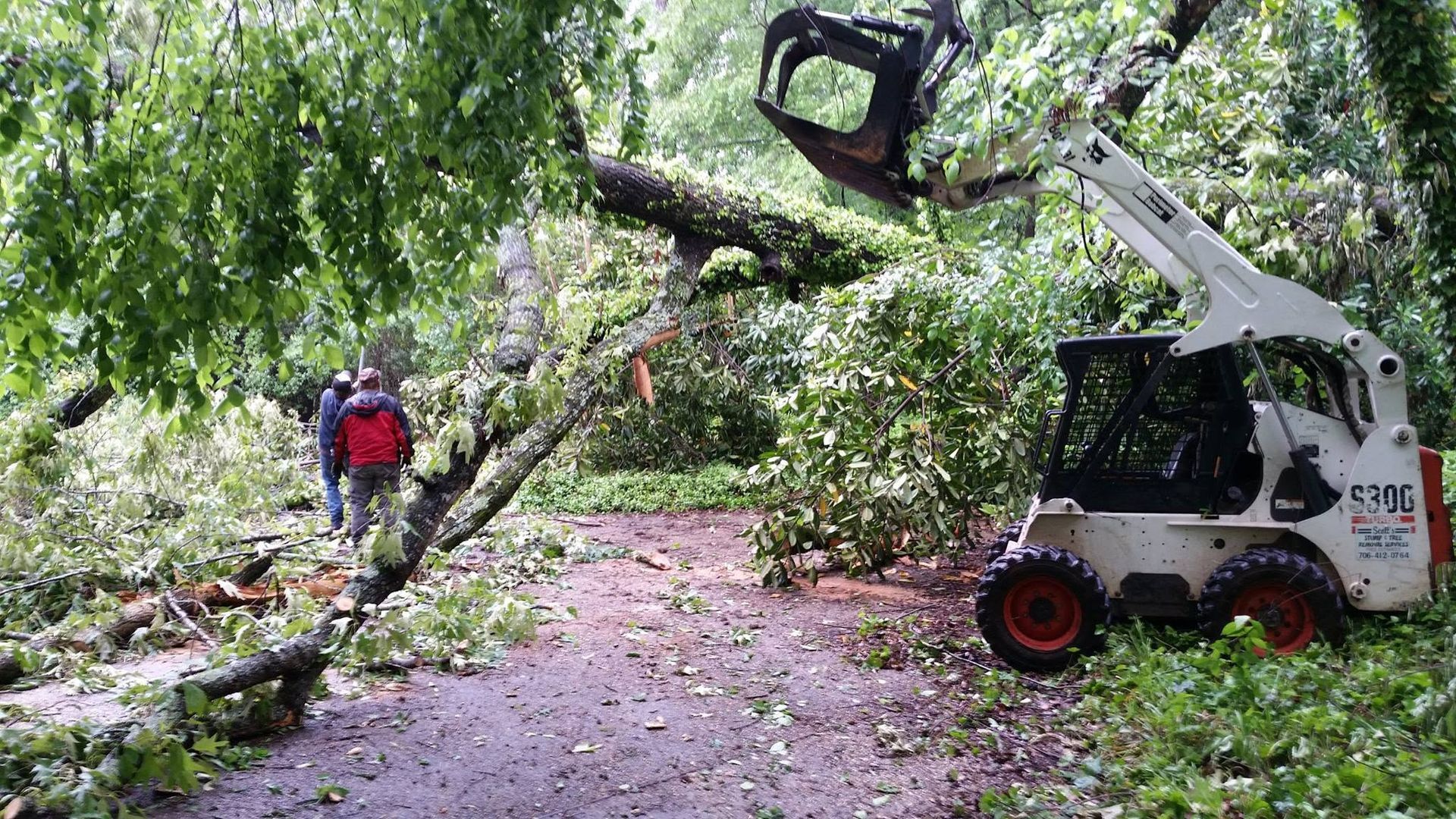 Worker clearing a fallen tree from a road with a skid-steer loader in a leafy area