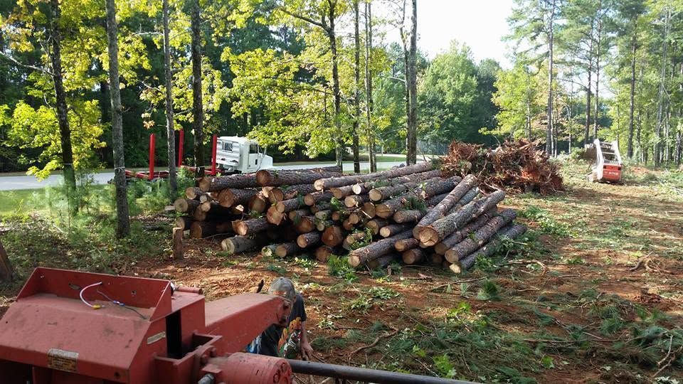 Stacked logs in a wooded clearing with a red wood chipper in the foreground and trucks in the background