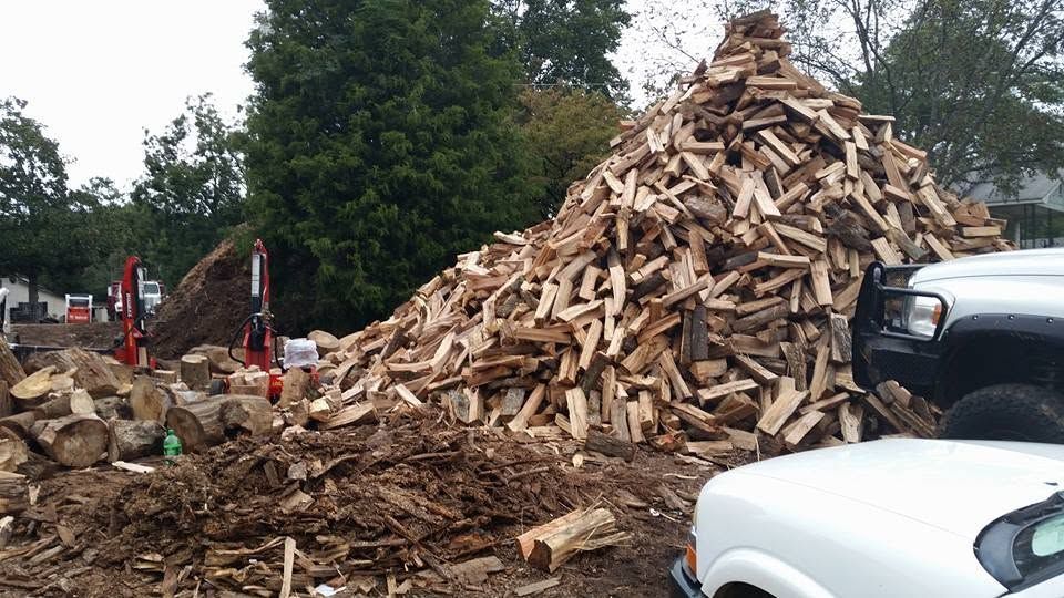 Large pile of chopped wood and debris at a worksite, with construction equipment and cars nearby.