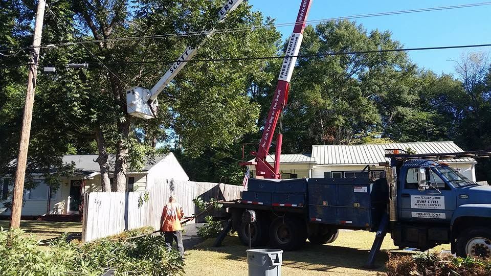Tree crew in a blue truck using a red crane to trim branches beside a house and fence