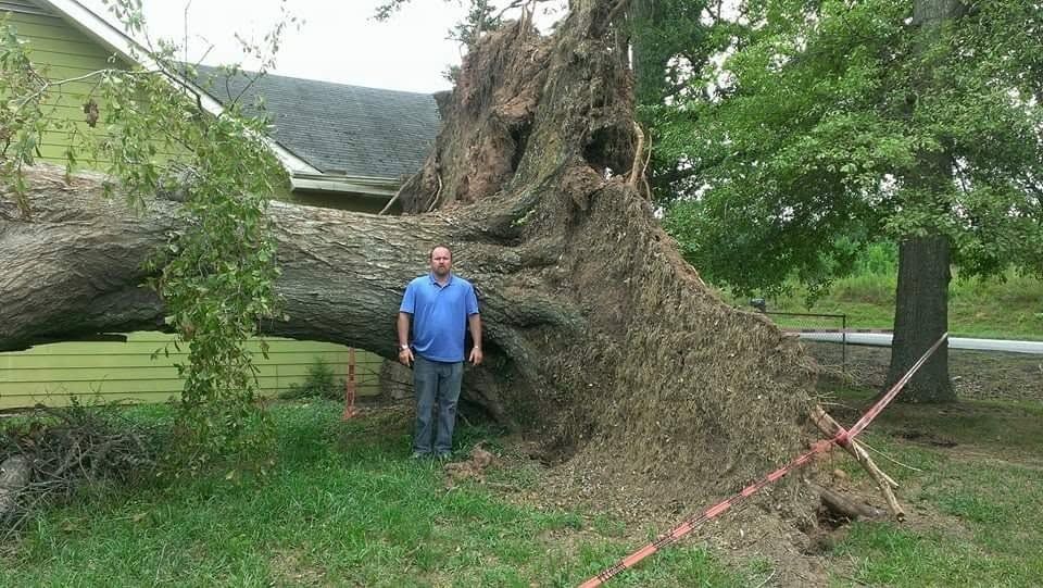 Man standing beside a huge fallen tree in a yard, with roof damage visible behind him