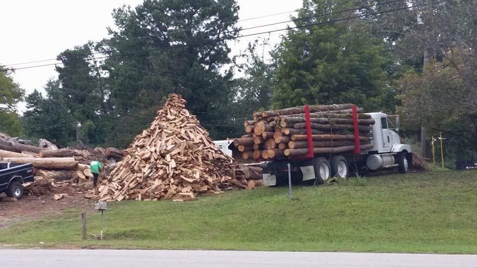 Truck loaded with cut logs beside a large pile of wood chips in a grassy roadside area