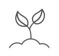 Sprout Icon