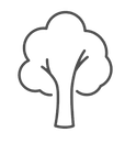 Tree Icon