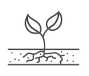 Plant Icon