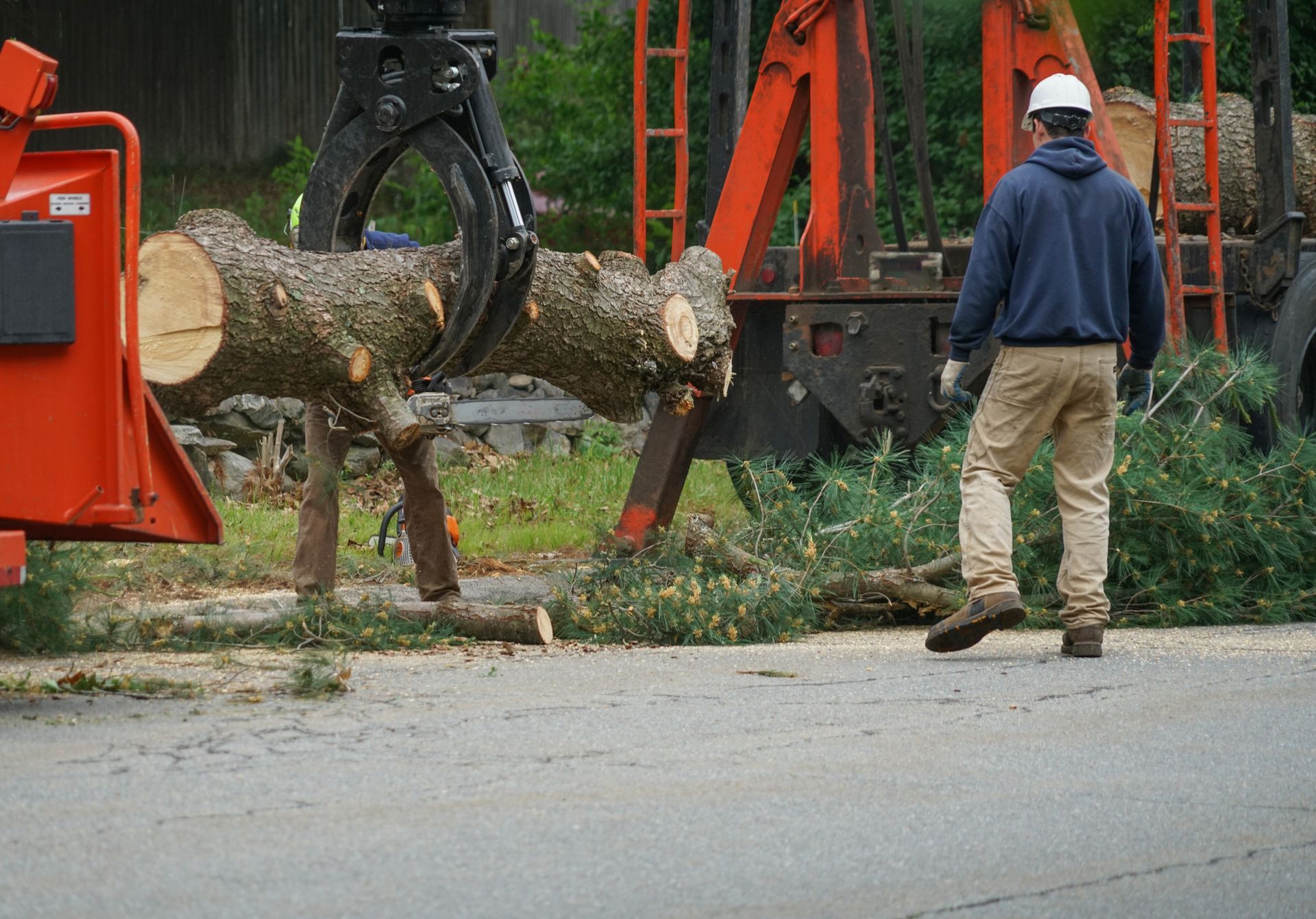 A worker in a hard hat watches a hydraulic log grapple lift a large, cut tree trunk near a trailer. A worker in a hard hat watches a hydraulic log grapple lift a large, cut tree trunk near a trailer.