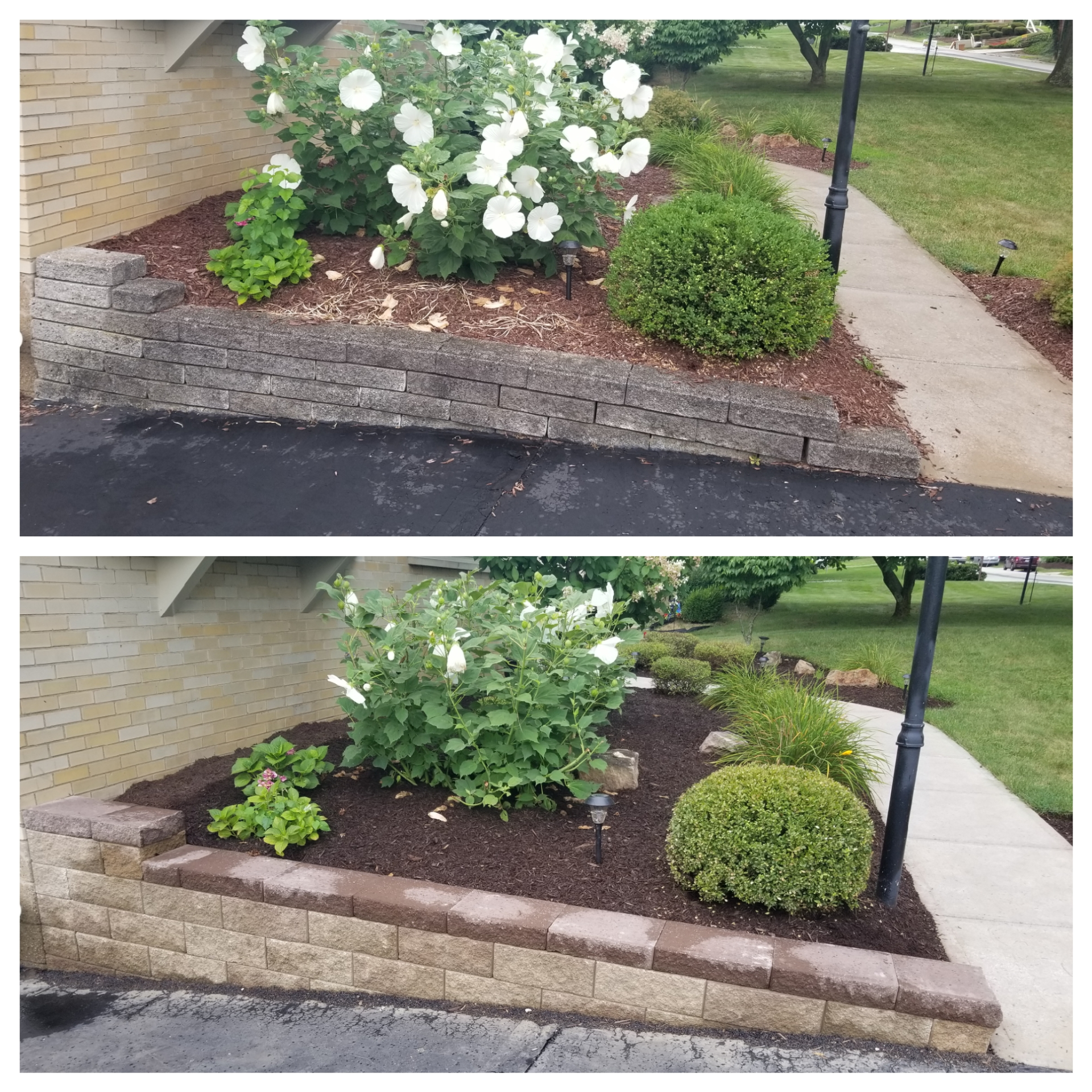 Flowers And Plants Design — Bridgeville, PA — MC Landscaping