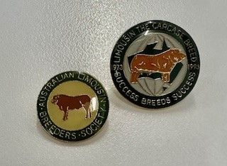 Badge
