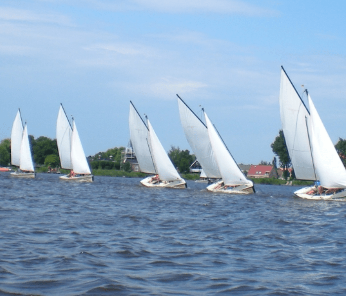 Een rij zeilboten met witte zeilen glijdt over het water op een zonnige dag.