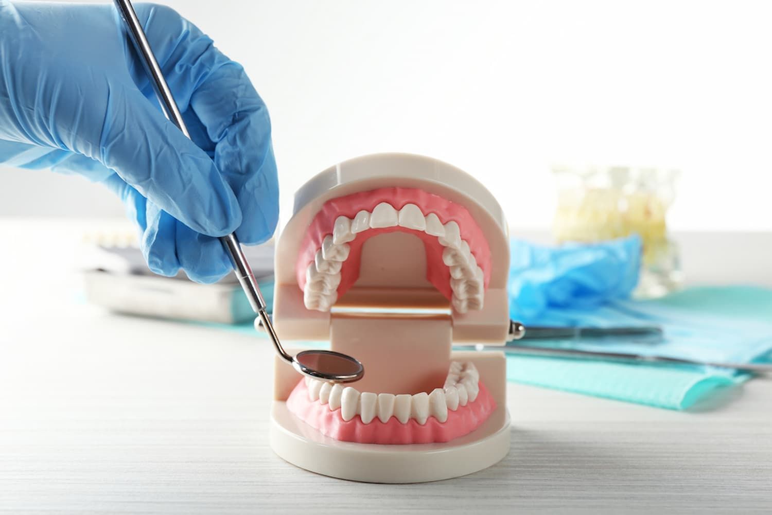 A Dentist Is Examining a Model of Teeth With A Mirror — Cane to Coast Dentures in Sarina, QLD