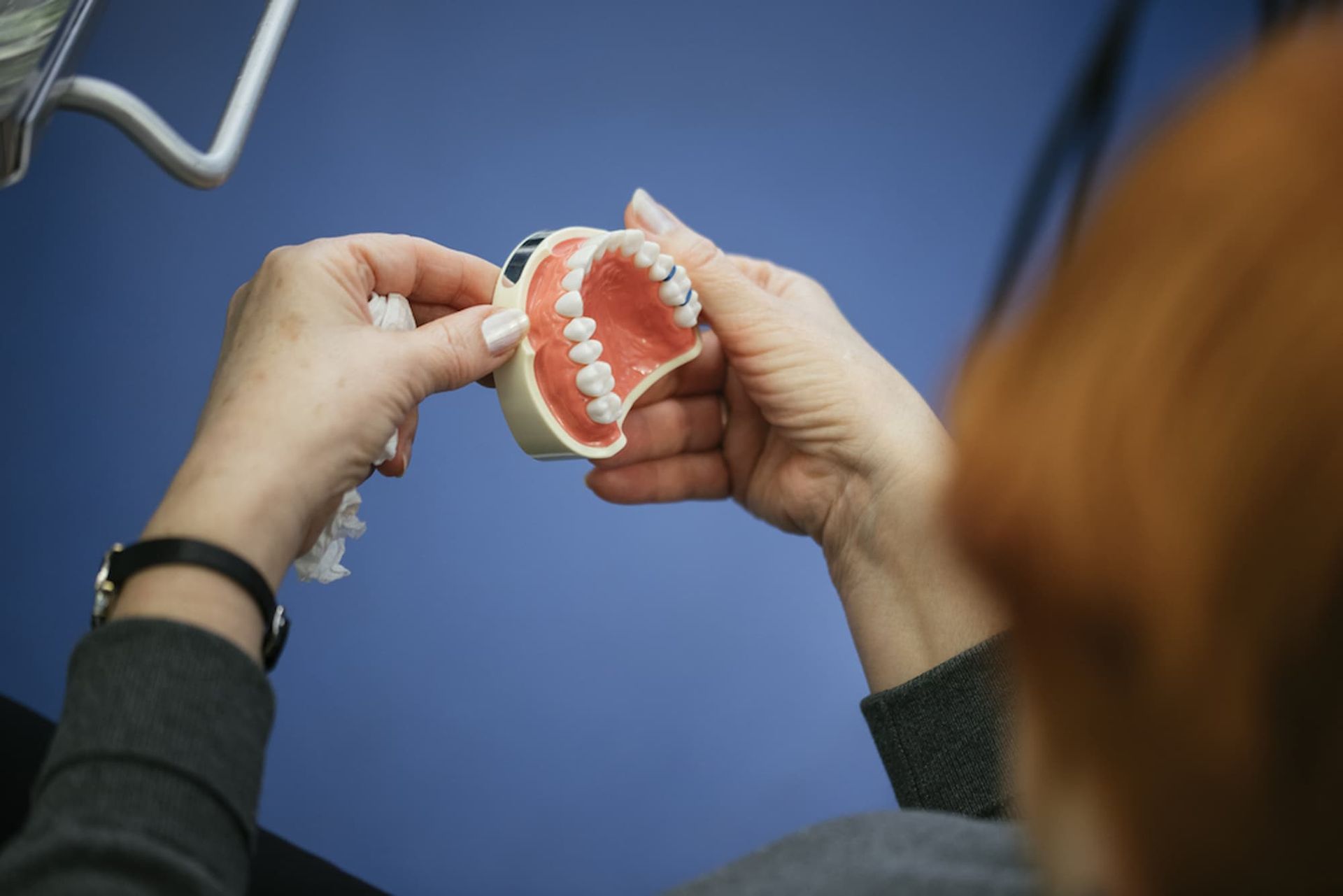A Woman Is Holding a Model of Teeth in Her Hands — Cane to Coast Dentures in Proserpine, QLD