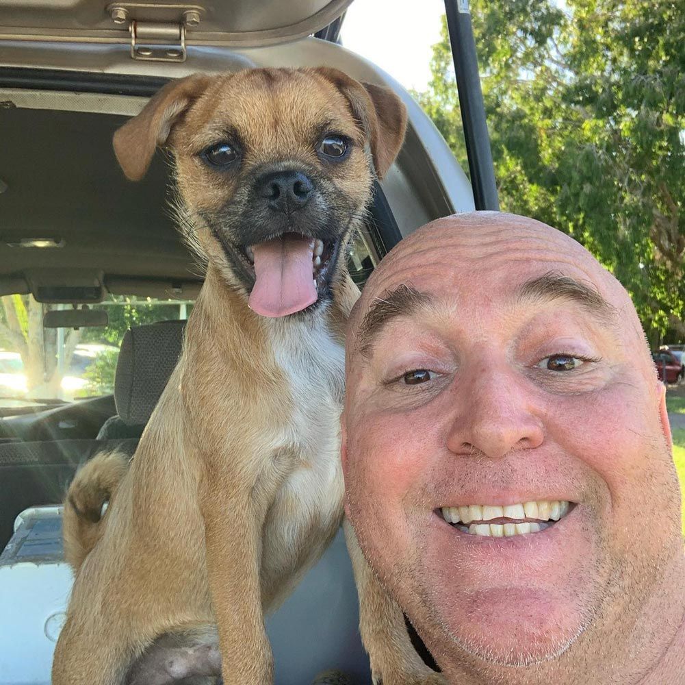 Mechanic And Dog In A Car — Mechanic In Noosaville, QLD