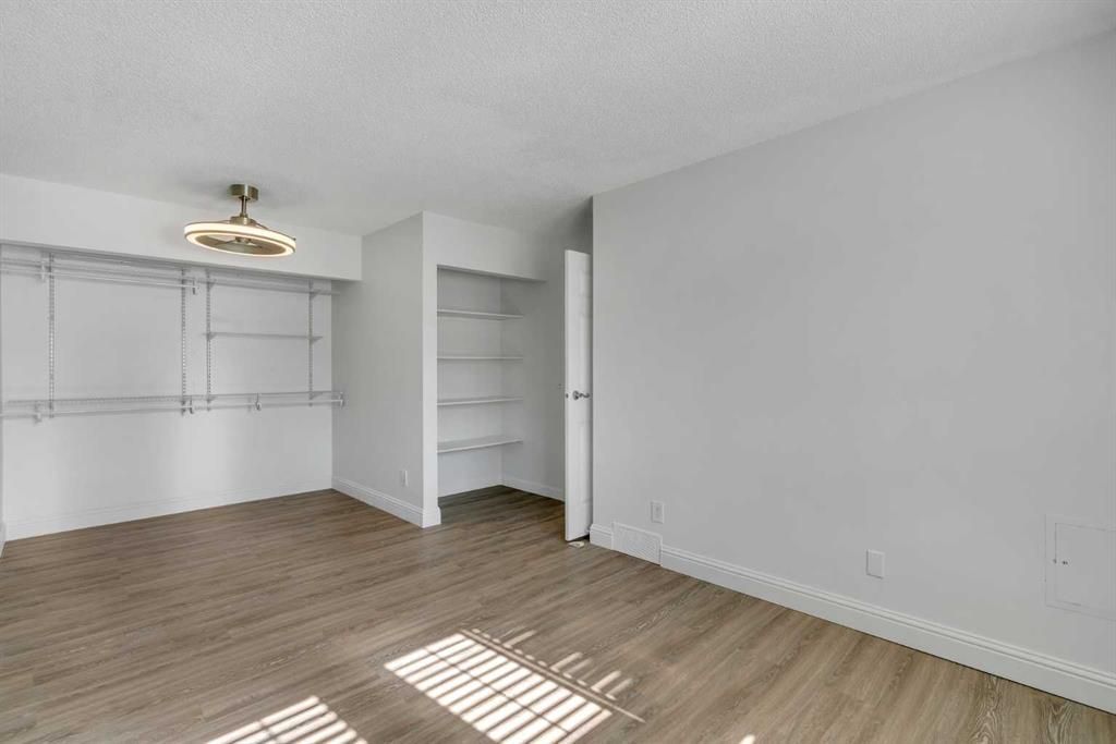 Empty modern bedroom with white walls, wood floors, built-in closet, and sunlight on the floor