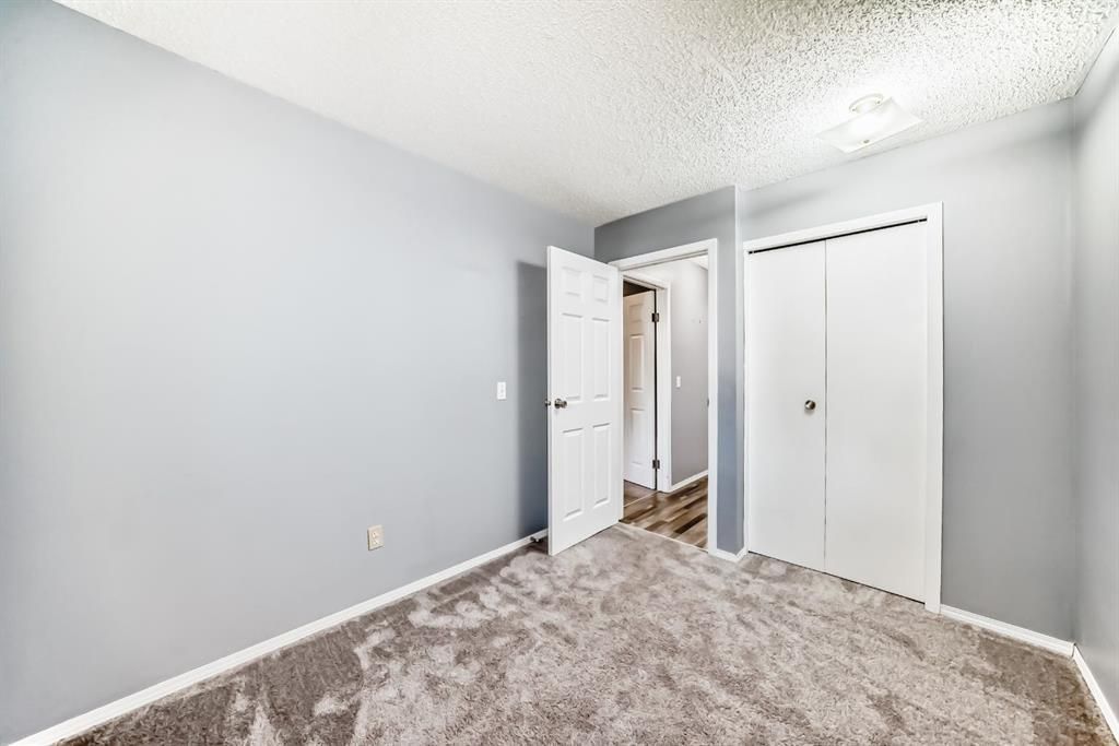 Empty gray bedroom with carpet, open door, and white closet doors