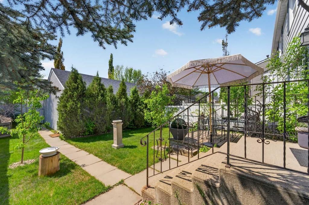 Sunny backyard patio with umbrella, lawn, stone path, and tall shrubs