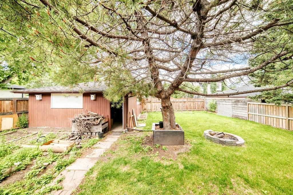 Backyard with a large tree, wooden shed, green lawn, and fenced yard
