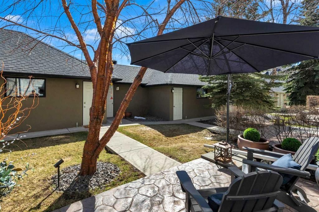 Backyard patio with stone path, leafless tree, lounge chairs, and black umbrella beside a house