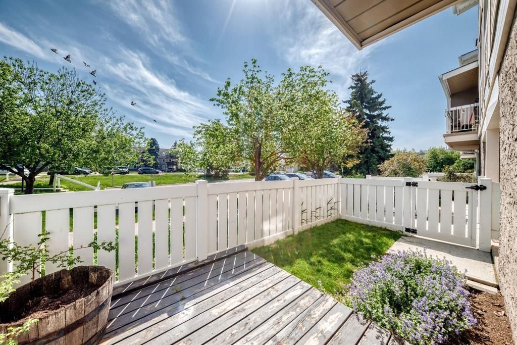 Sunny backyard patio with white fence, green lawn, trees, and a small flower bed by a house