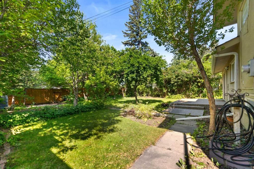Sunny backyard with green lawn, trees, stone path, and a house patio with a bicycle on the right.