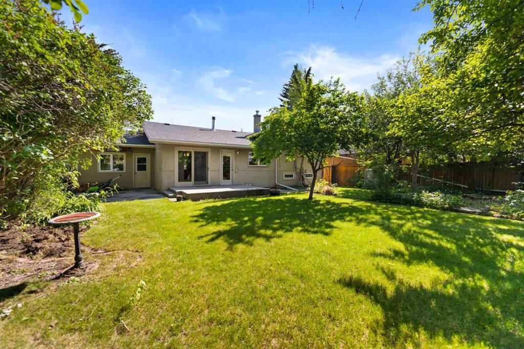 Sunny backyard with green lawn, trees, and a small house in the background