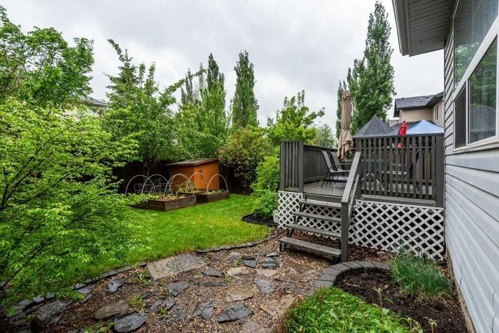 Backyard garden after rain with muddy ground, wooden fence, trees, and a white deck with lattice railing