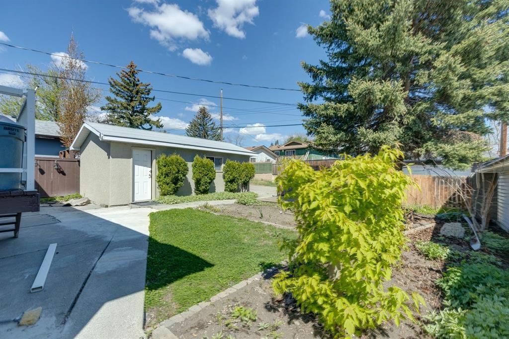 Backyard with patio, shed, green lawn, shrubs, and tall trees under a blue sky