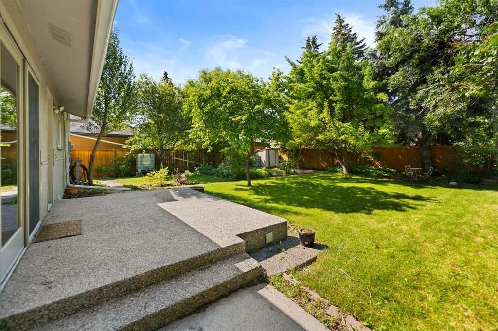 Backyard patio with concrete steps, green lawn, trees, and a house exterior on the left.