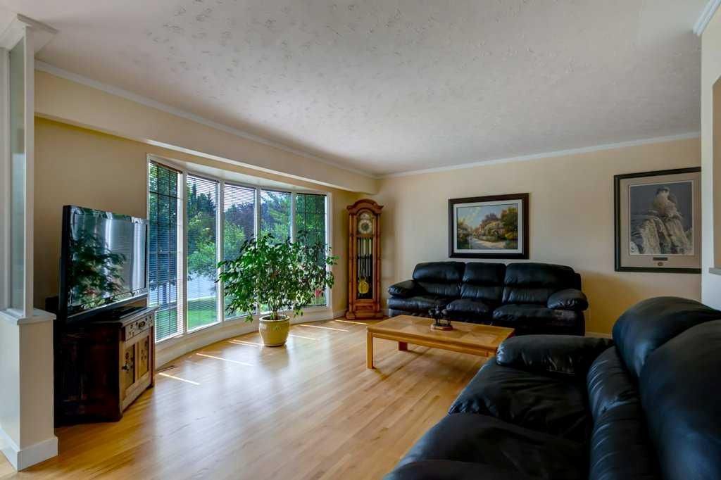Bright living room with black leather sofas, wooden floor, large window, TV, and potted plant