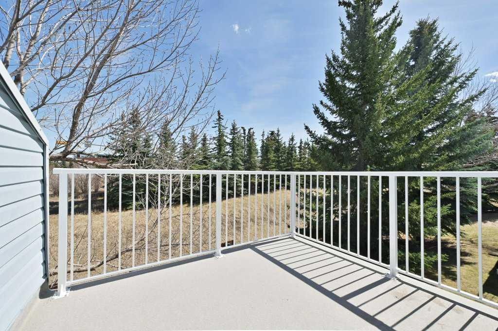 Outdoor patio with white railing, concrete floor, and trees under a blue sky