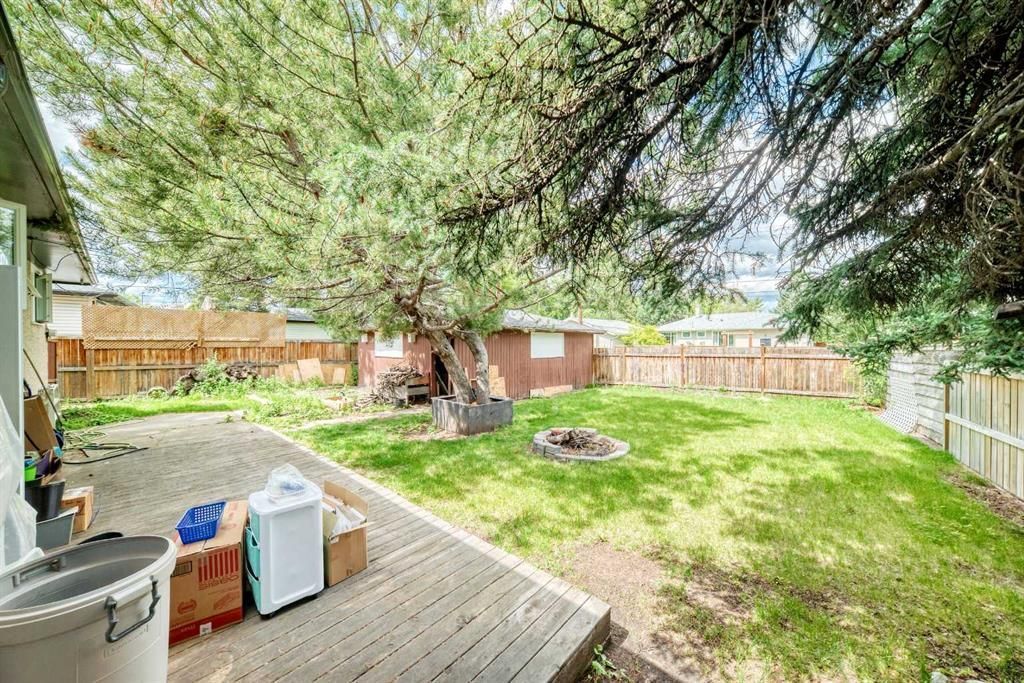 Backyard with large tree, wooden deck, lawn, fence, and fire pit on a sunny day