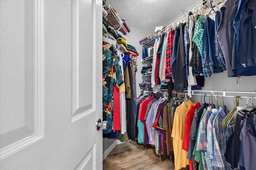 Walk-in closet with rows of hanging clothes and a partially open white door