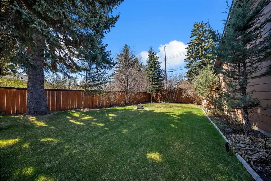 Backyard lawn with tall trees, wooden fence, and a brick house on the right in bright sunlight