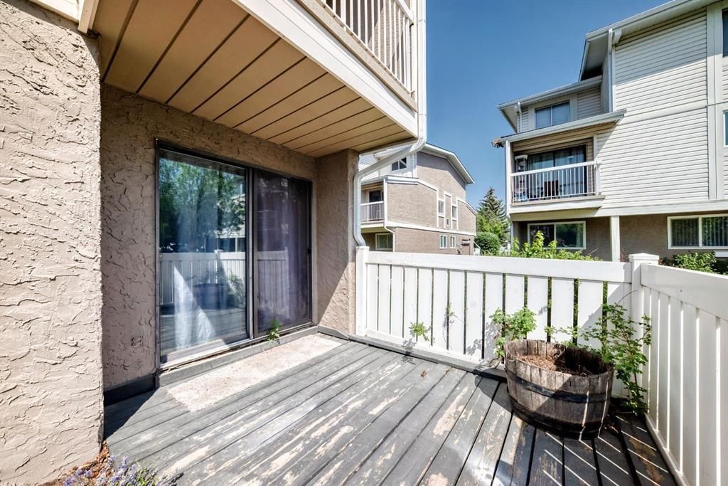 Apartment balcony with white railing, sliding glass door, and potted plant in bright sunlight