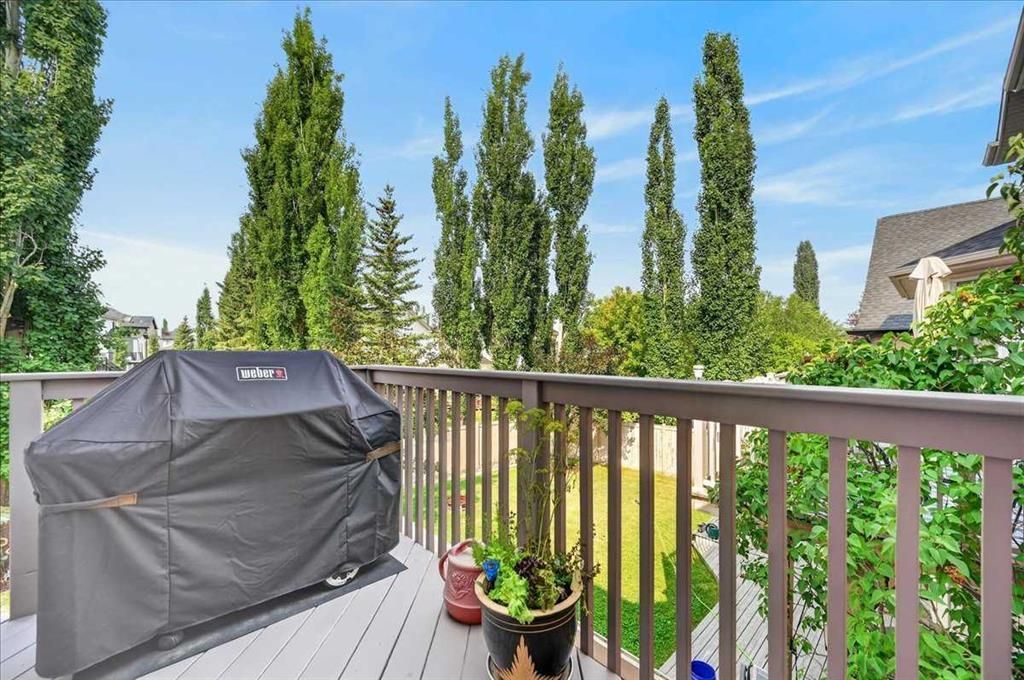Back deck with a covered grill, potted plants, and tall trees under a bright blue sky