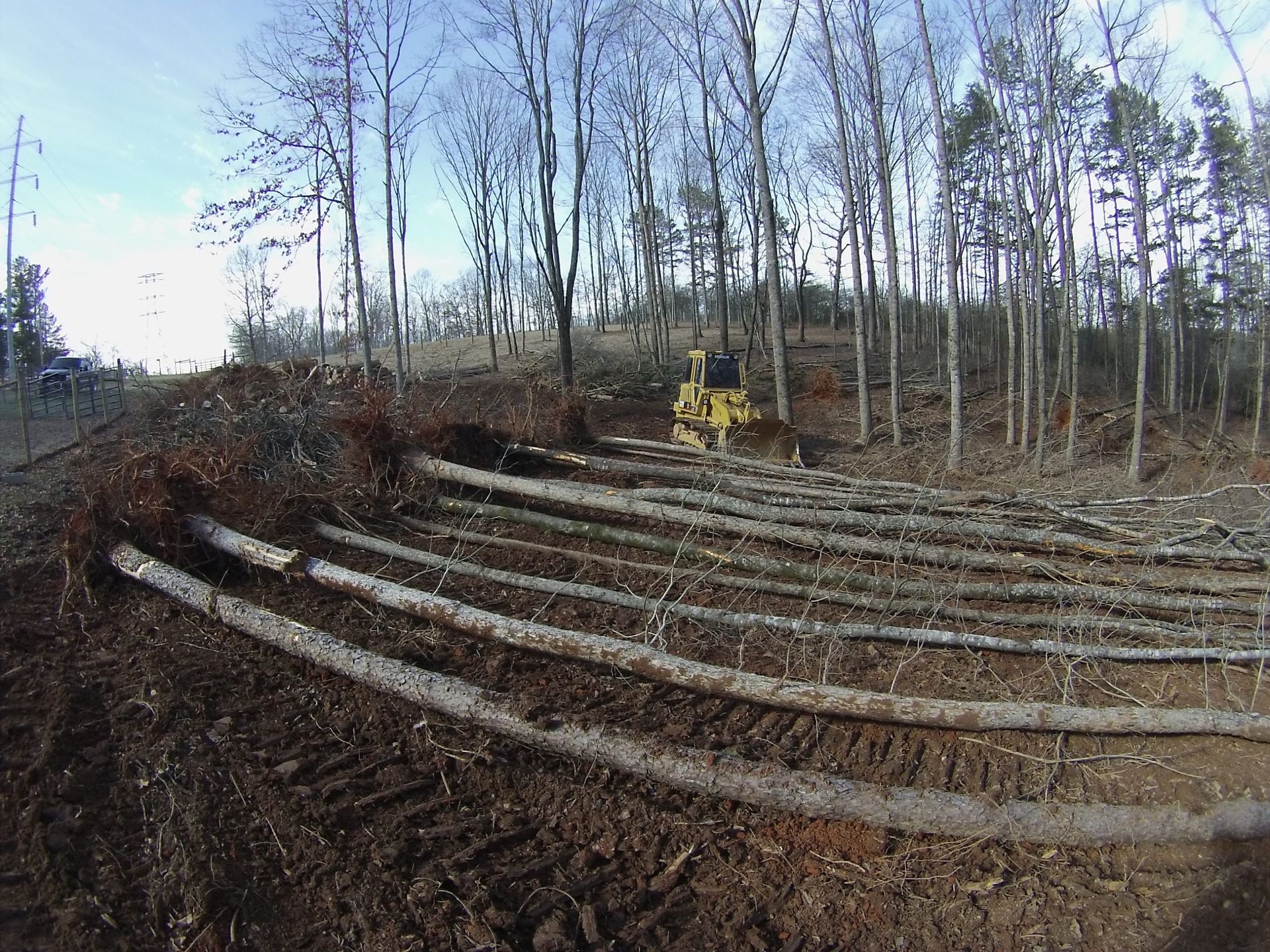 Terraced hillside excavation with a yellow excavator among leafless trees under a cloudy sky
