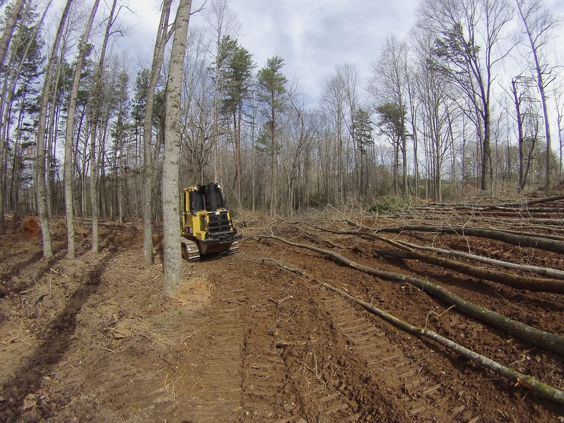 Yellow logging machine on a muddy forest road beside cut trees and stacked logs