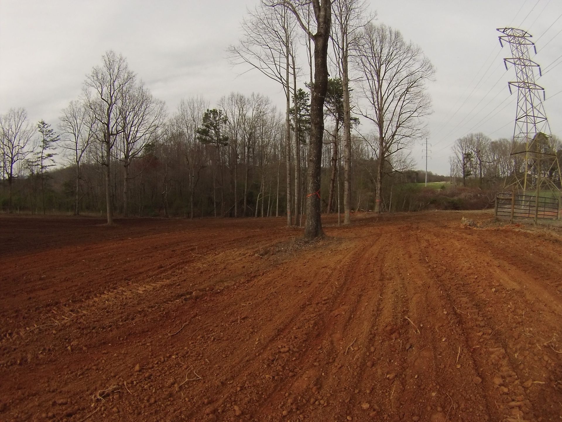 Bare dirt lot beside leafless trees under a cloudy sky