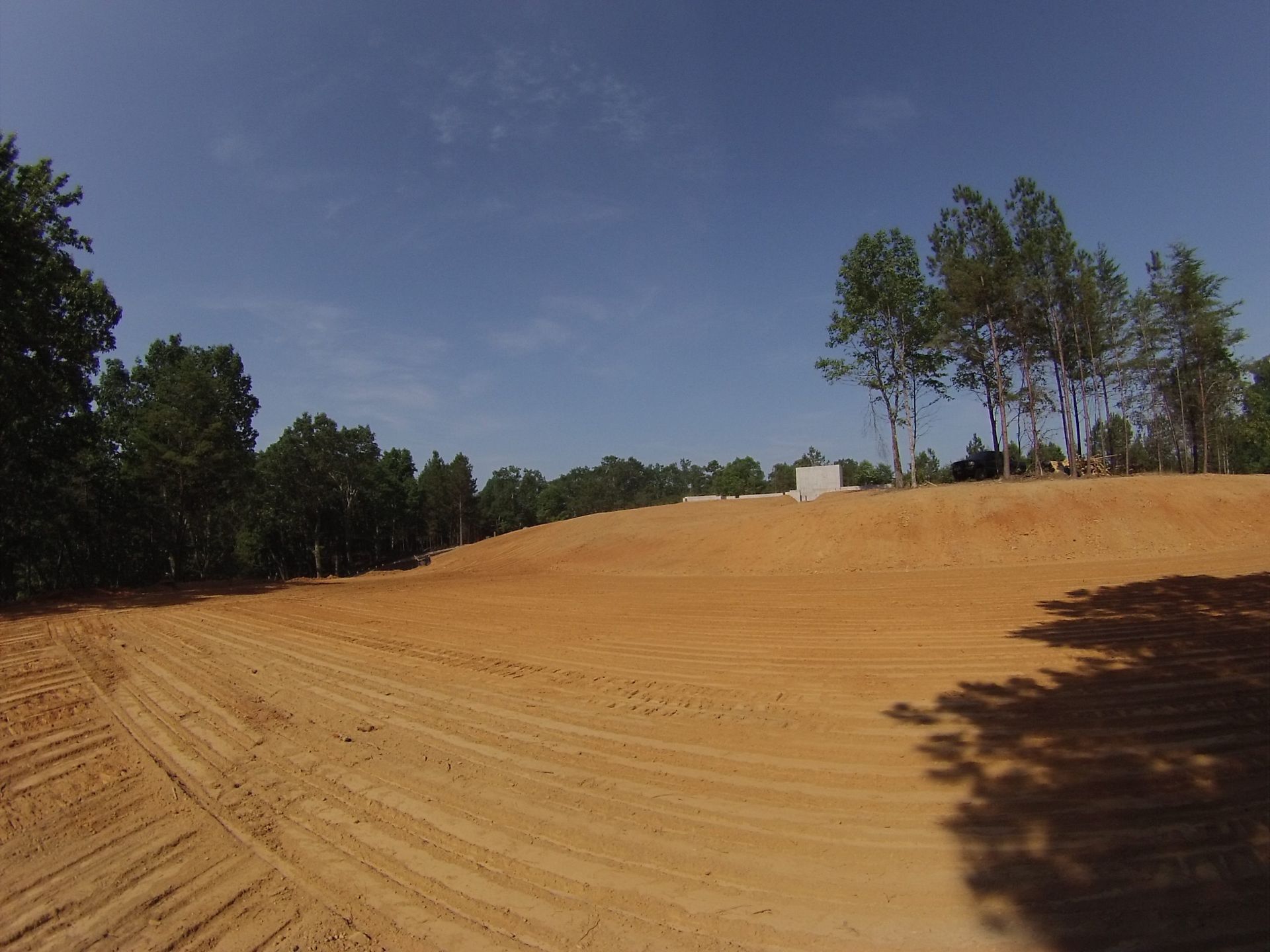 Dirt road curving through a sandy clearing with trees under a clear blue sky