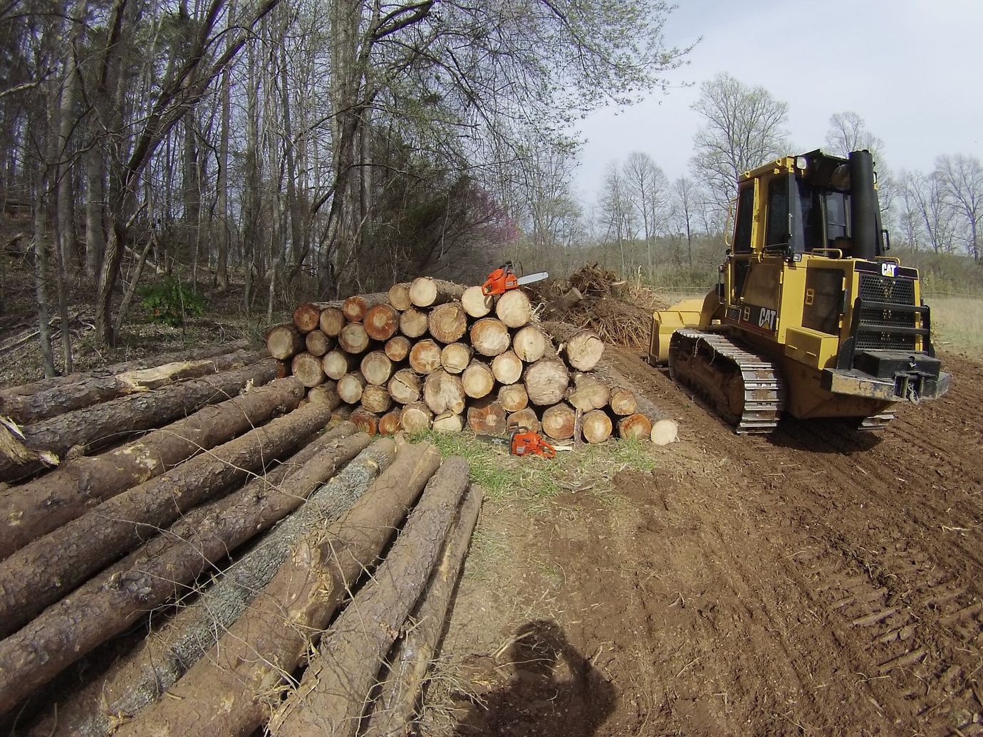 Caterpillar track loader pushing brush and stump debris on a cleared North Georgia lot