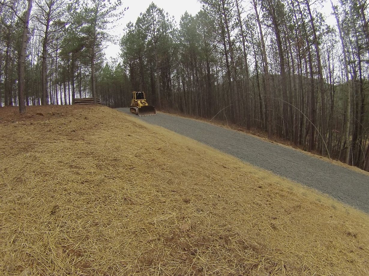 Long gravel driveway through a North Georgia forested property