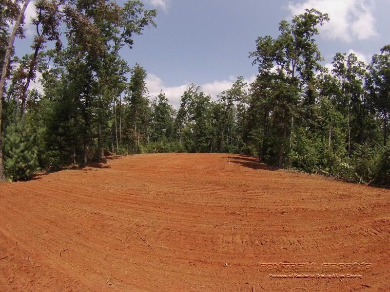 Dirt road opening through a wooded area under a partly cloudy sky