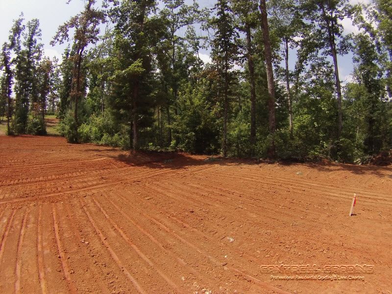 Cleared red dirt lot beside pine trees under bright sunlight