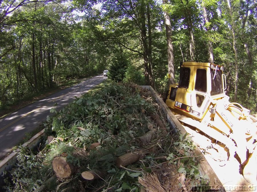 Yellow bulldozer clearing brush beside a wooded road in sunlight