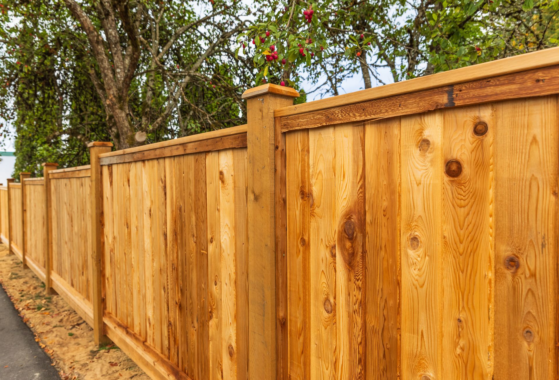 Wooden fence along a road, trees in the background. Boards are vertical, light brown.