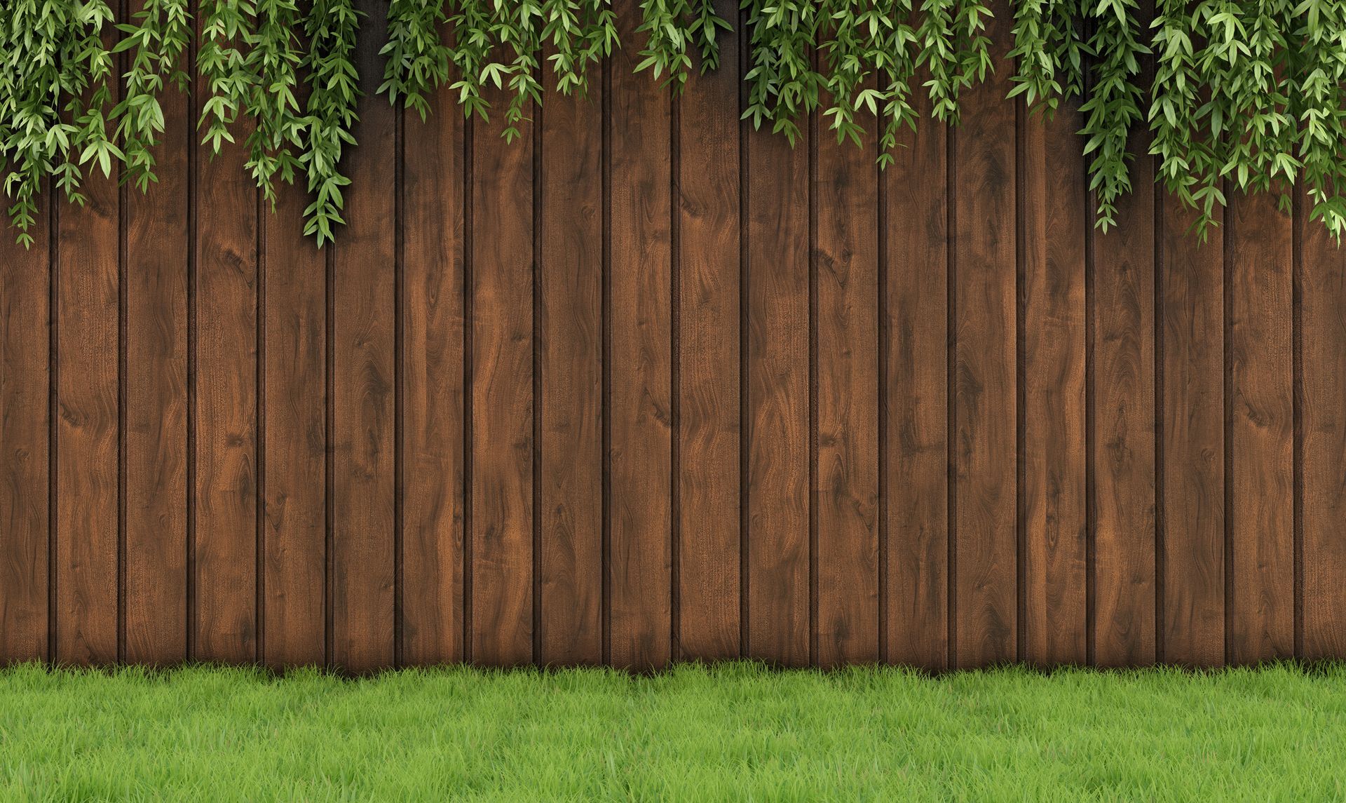 Green grass in front of a wooden fence with hanging leafy vines above