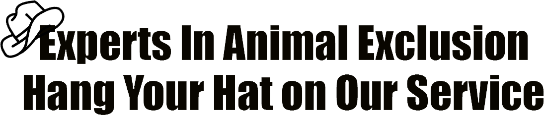 Experts in Animal Exclusion Logo Experts in Animal Exclusion Logo