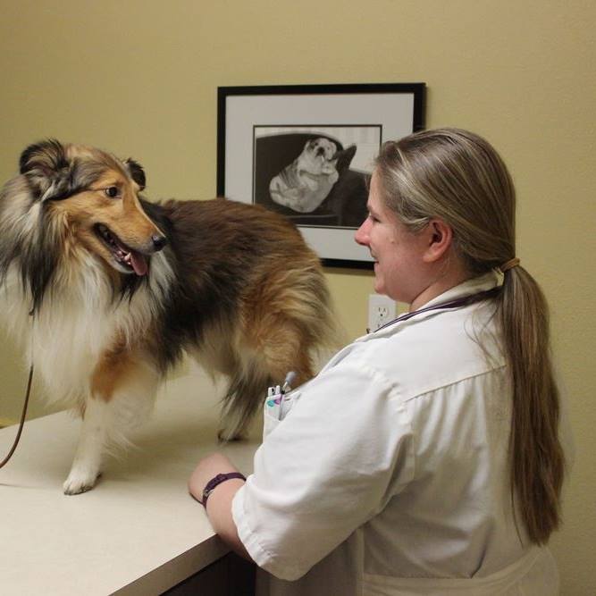 Rebecca darland sign board — Festus, MO — Rebecca Darland Pet Clinic
