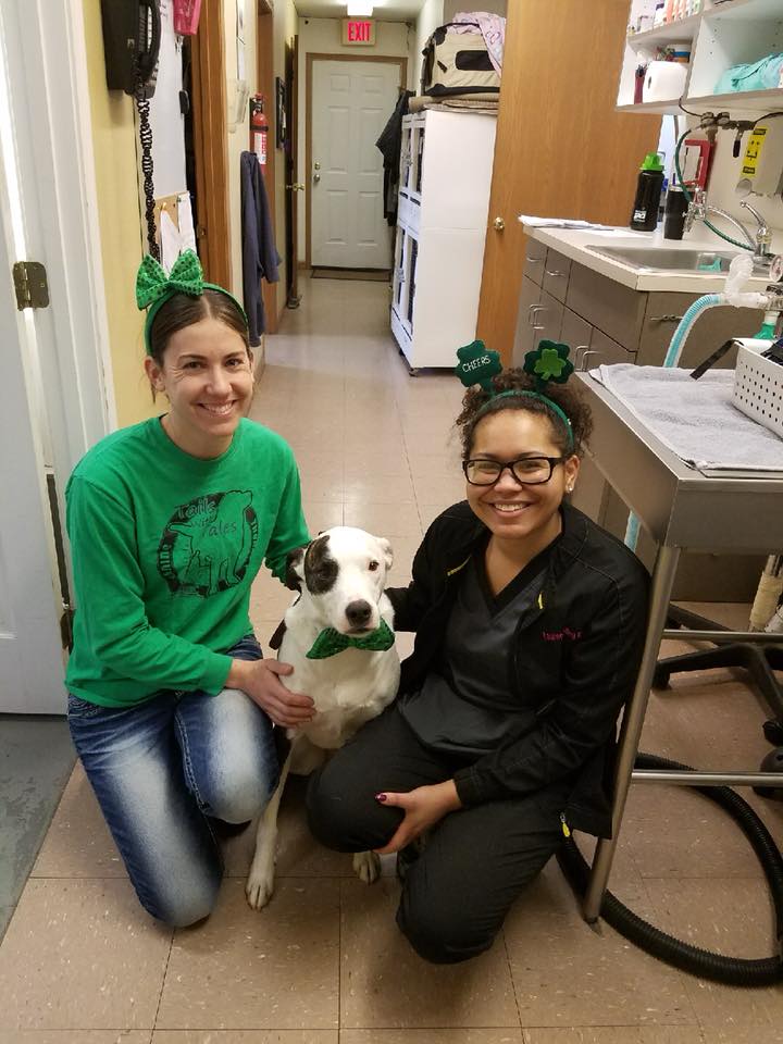Laboratory equipment — Festus, MO — Rebecca Darland Pet Clinic