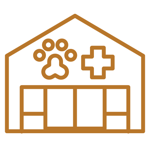 Tumor removal icon — Festus, MO — Rebecca Darland Pet Clinic